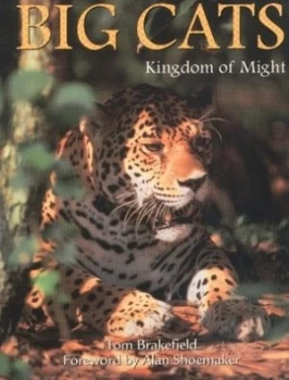 Image of Big Cats by Tom Brakefield Paperback