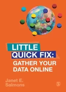 Image of Gather Your Data Online : Little Quick Fix