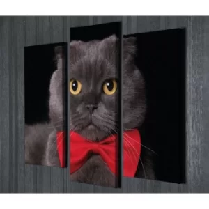 Image of UC57 Multicolor Decorative Canvas Painting (3 Pieces)