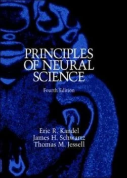 Image of Principles of Neural Science by Eric R Kandel Paperback