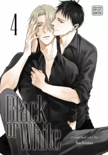 Image of Black or White, Vol. 4