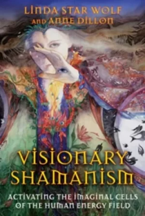 Image of Visionary shamanism by Linda Star Wolf