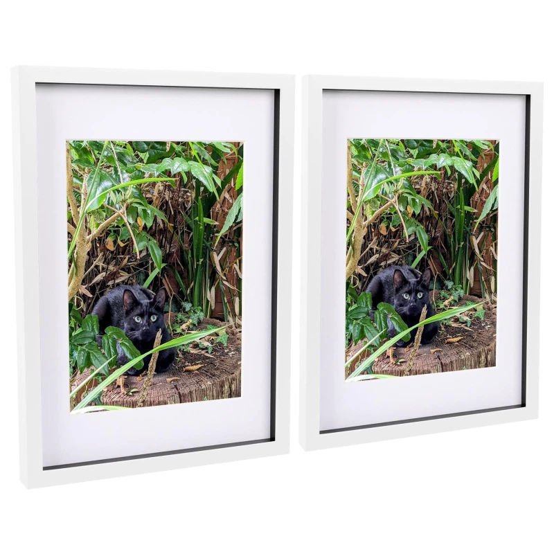 Image of Nicola Spring 3D Box Photo Frames with A4 Mounts - A3 (12" x 17") - White Mount - Pack of 2 White Unisex