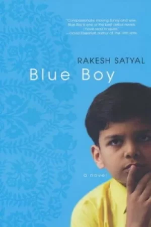 Image of Blue boy by Rakesh Satyal
