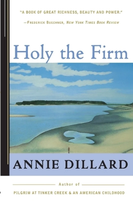 Image of Holy the Firm Paperback