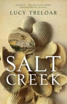 Image of Salt Creek by Lucy Treloar Hardback