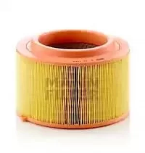 image of Air Filter C22024 By Mann-Filter