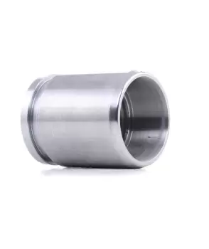 Image of RIDEX Piston, brake caliper Rear Axle 2248P0019 VW,AUDI,OPEL,Golf IV Schragheck (1J1),Golf V Schragheck (1K1),TOURAN (1T1, 1T2),GOLF VI (5K1)