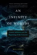 Image of infinity of worlds cosmic inflation and the beginning of the universe
