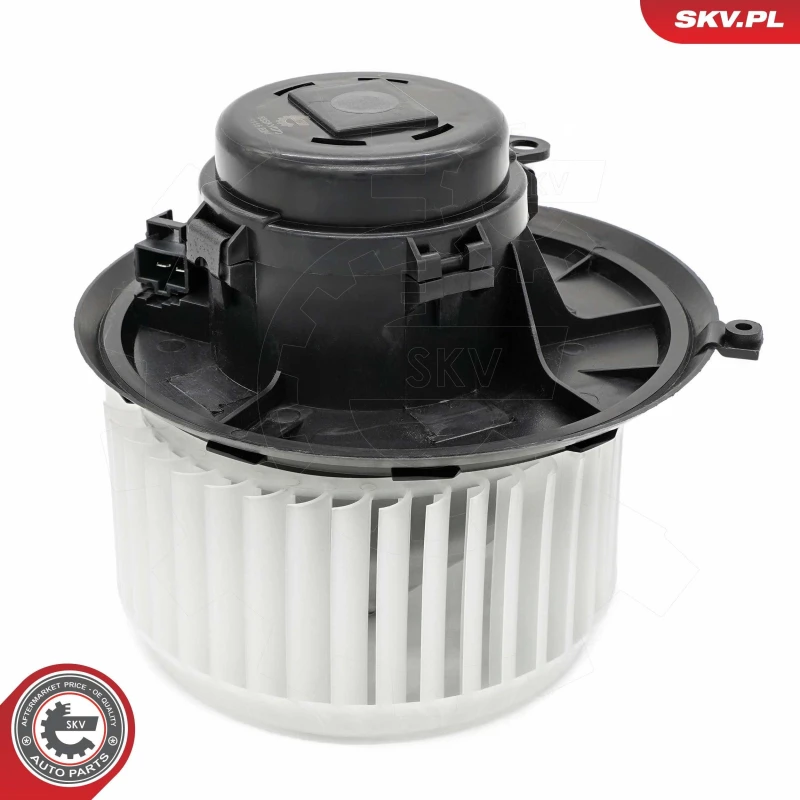 Image of ESEN SKV Blower motor ESEN SKV 68SKV070