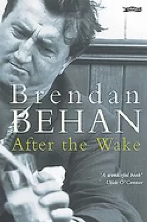 Image of after the wake twenty one prose works including previously unpublished mate