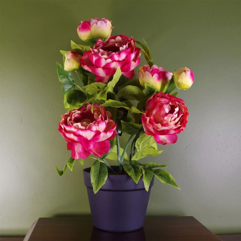 Image of Leaf Artificial Peony Flowering Plant Pink Dark Pink