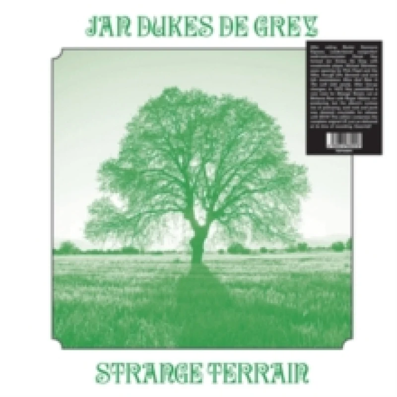 Image of Strange terrain Vinyl