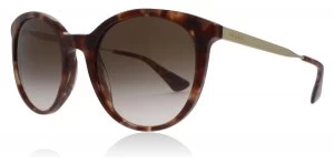 image of Prada PR17SS Sunglasses Spotted Brown / Pink UE00A6 53mm