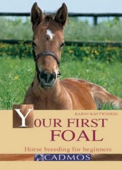 Image of Your First Foal by Karin Kattwinkel Hardback