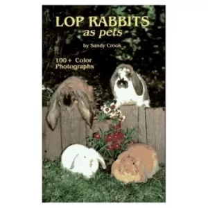 Image of Lop Rabbits as Pets by Sandy Crook