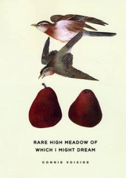 Image of Rare High Meadow of Which I Might Dream by Connie Voisine Book