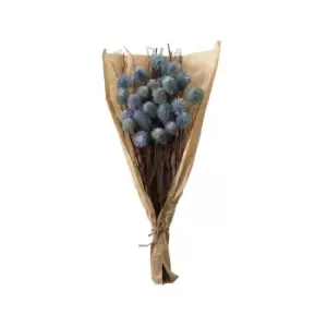 image of Crossland Grove Dried Thistle Bundle In Paper Wrap Blue H540Mm