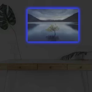 Image of 4570DHDACT-008 Multicolor Decorative LED Lighted Canvas Painting