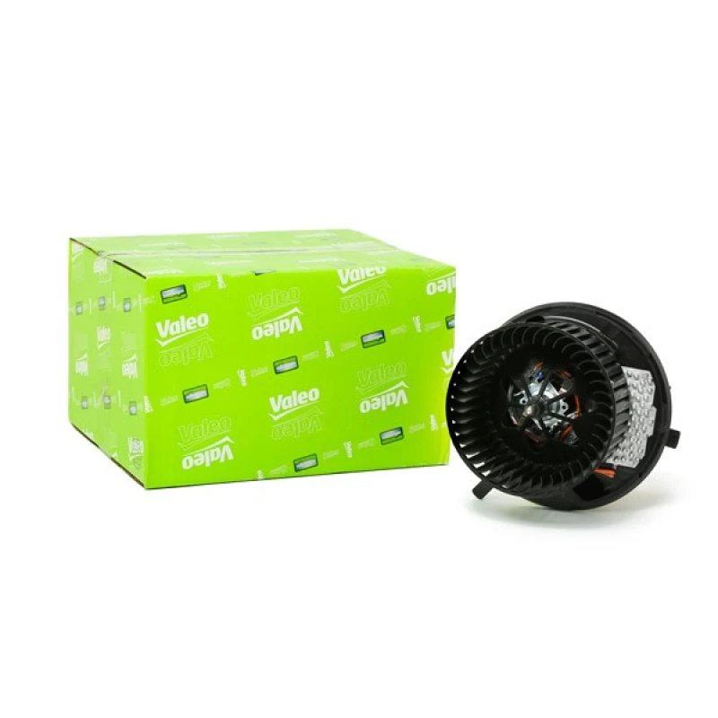 Image of Blower motor VALEO 698811