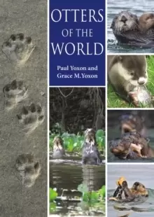 Image of Otters of the World