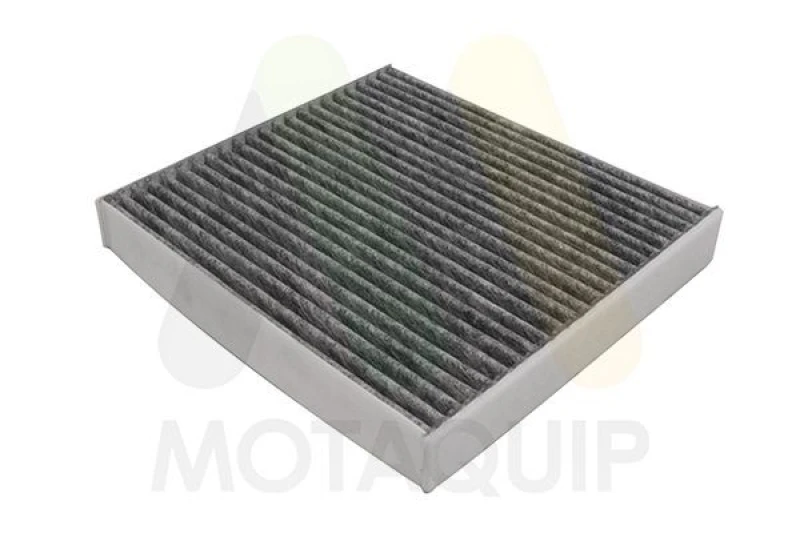 Image of MOTAQUIP Pollen filter MOTAQUIP LVCF724
