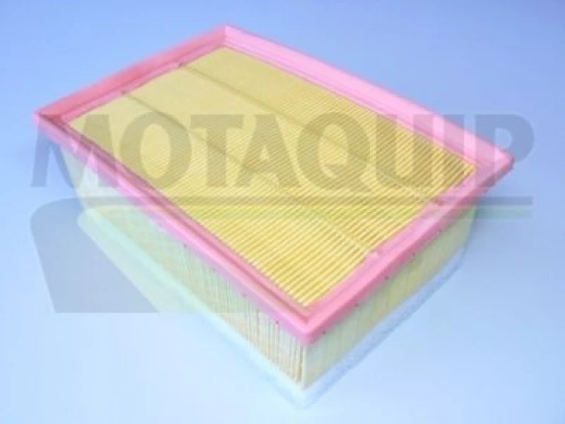 Image of MOTAQUIP Air filter MOTAQUIP VFA1033