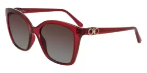 Salvatore Ferragamo Sunglasses SF 1026S 655