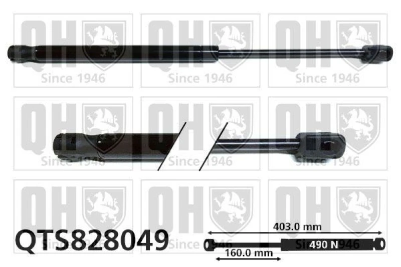 Image of QUINTON HAZELL Tailgate strut QUINTON HAZELL QTS828049