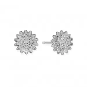 image of Botanical Beauty Stud Earrings SEST3298