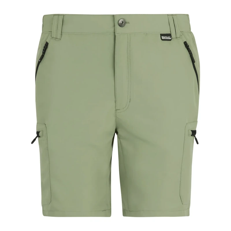 Image of Running shorts Regatta Leesville III Vert Male 54