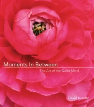 Image of Moments in between by David Kundtz