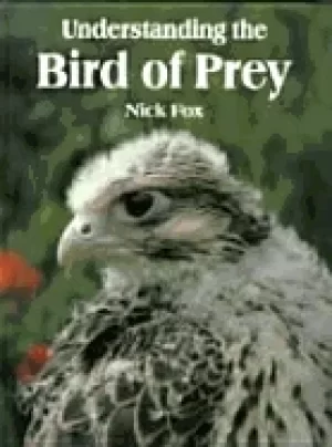 Image of understanding the bird of prey