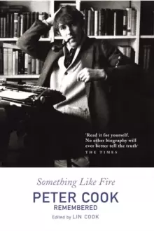Image of Something Like Fire