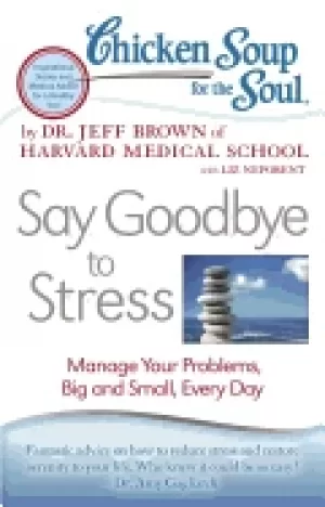 Image of chicken soup for the soul say goodbye to stress manage your problems big an