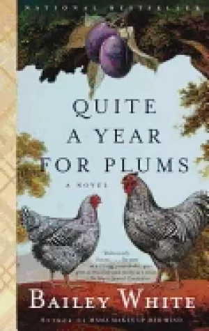 Image of quite a year for plums a novel
