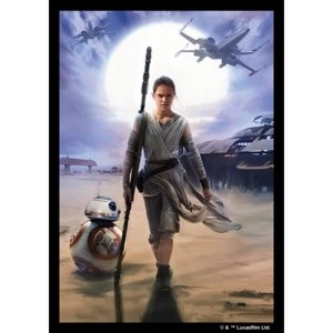 Image of Star Wars the Force Awakens Rey 50 Art Sleeve Pack