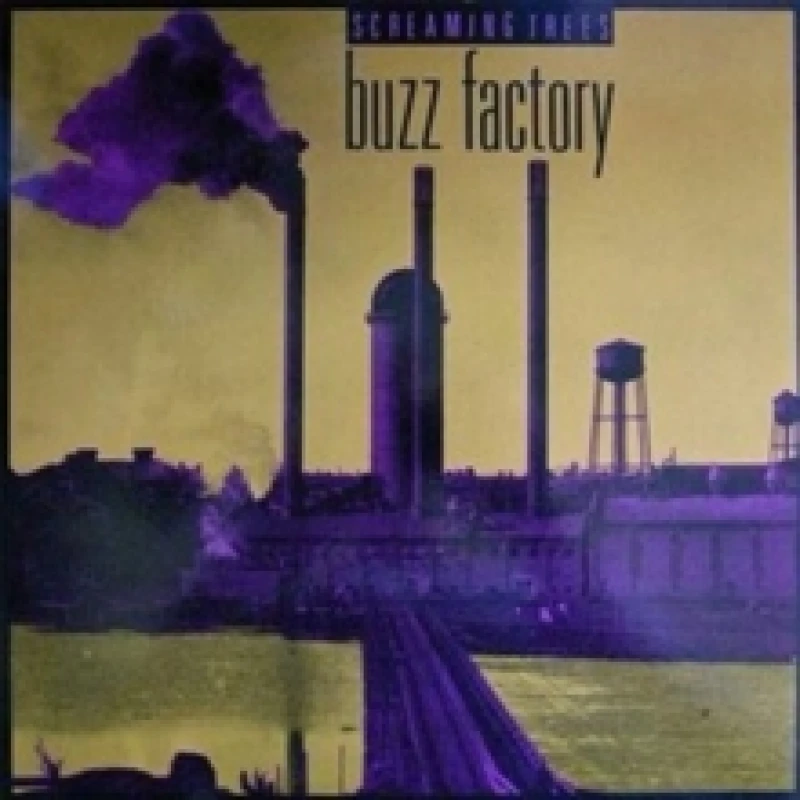 Image of Buzz Factory Vinyl