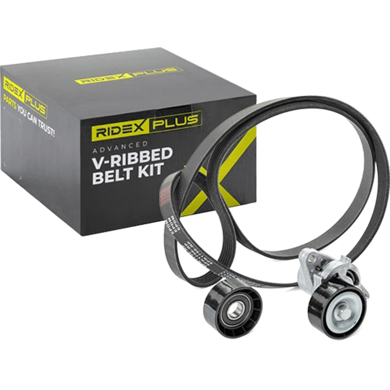 Image of RIDEX PLUS 542R0082P V-ribbed belt set V-Ribbed Belt Set (542)