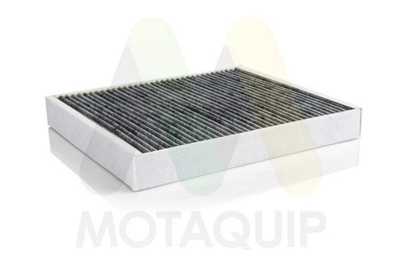 Image of MOTAQUIP Pollen filter MOTAQUIP LVCF593