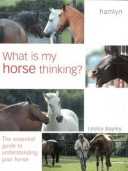 Image of What Is My Horse Thinking by Lesley Bayley Hardback
