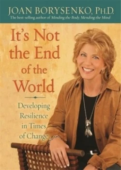 Image of Its Not the End of the World by Joan Borysenko Hardback