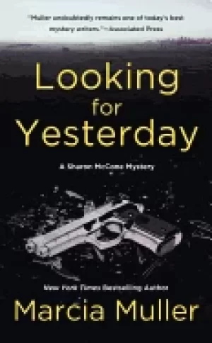 Image of looking for yesterday sharon mc cone 029
