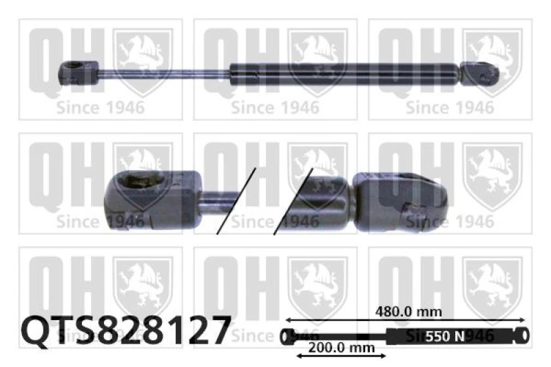 Image of QUINTON HAZELL Tailgate strut QUINTON HAZELL QTS828127