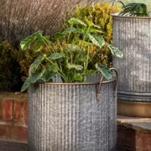Image of Crossland Grove Potted Monstera Green H640Mm