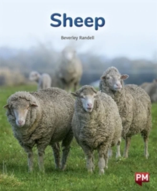 Image of SHEEP Paperback