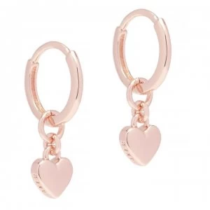 image of Ted Baker HARRYE Huggie Hoop Earrings - Rose Gold