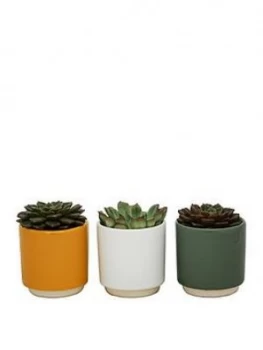 Ivyline Set Of 3 Potted Succulents