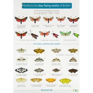 Image of Guide to the Day-Flying Moths of Britain 2006 Wallchart