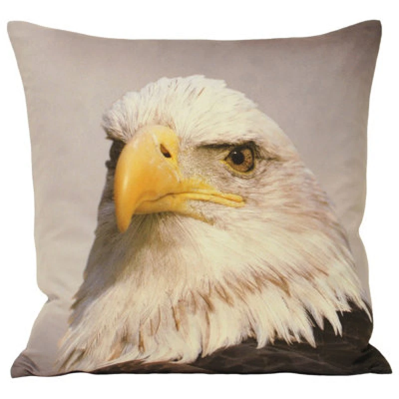 Image of Paoletti Animal Eagle Photographic Print Cushion Grey